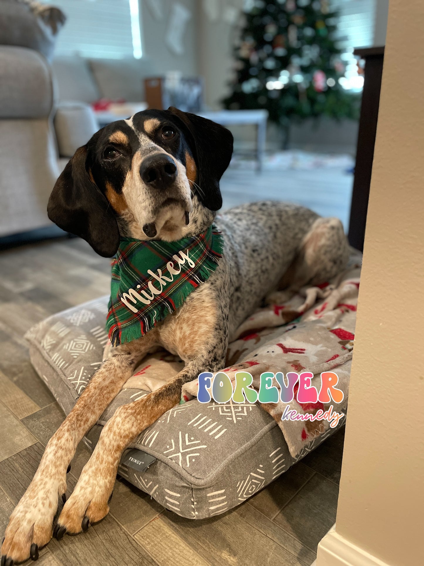 (MTO) Pet Holiday Bandana