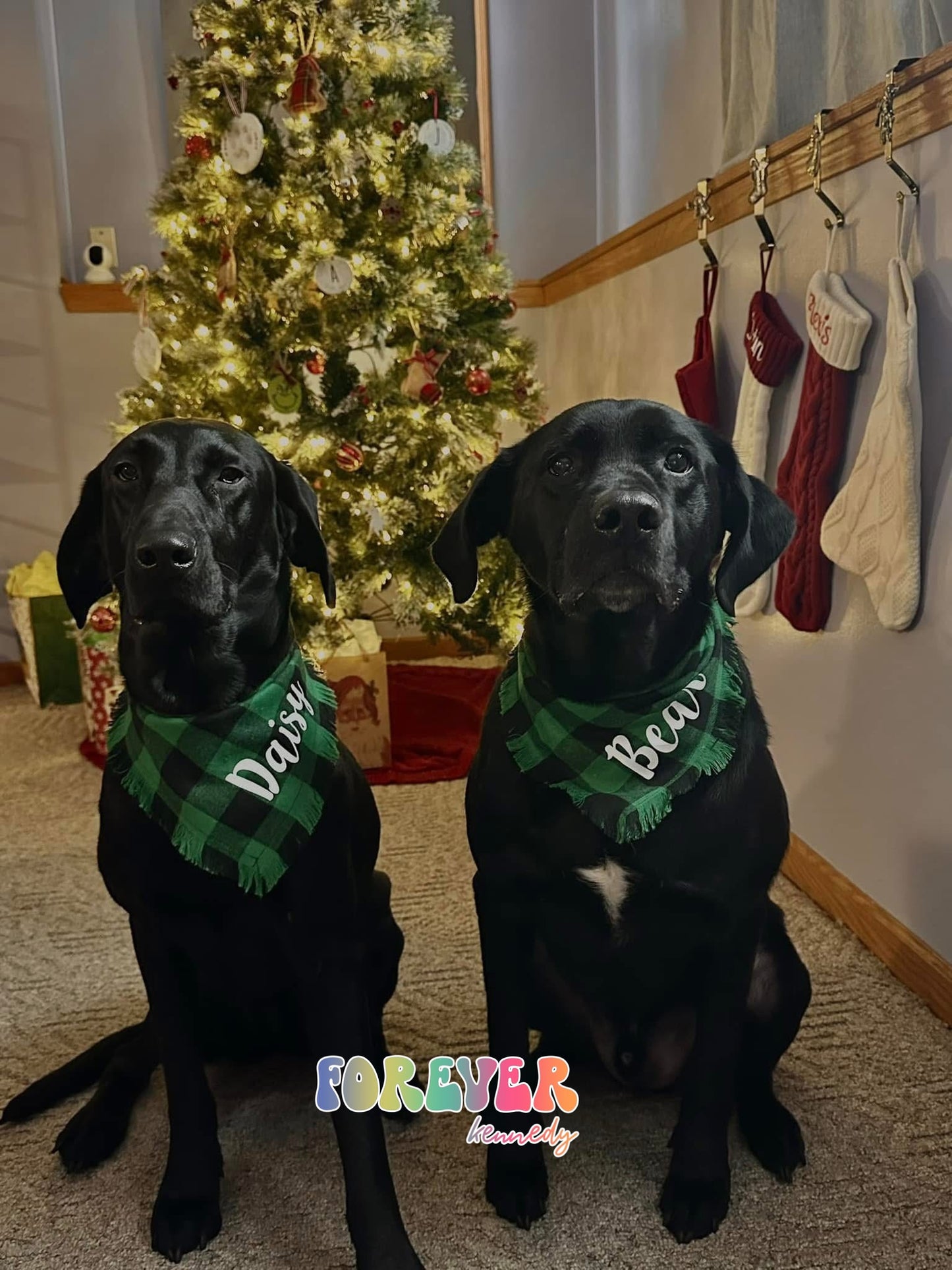 (MTO) Pet Holiday Bandana