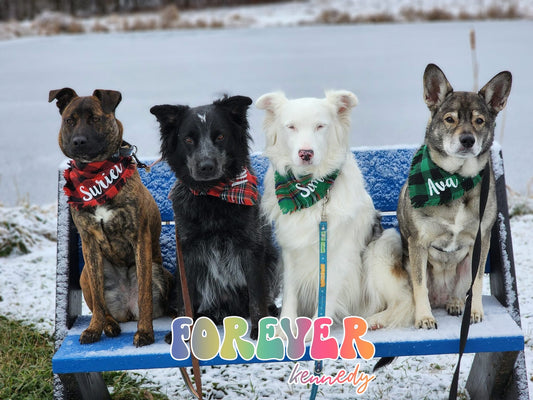 (MTO) Pet Holiday Bandana