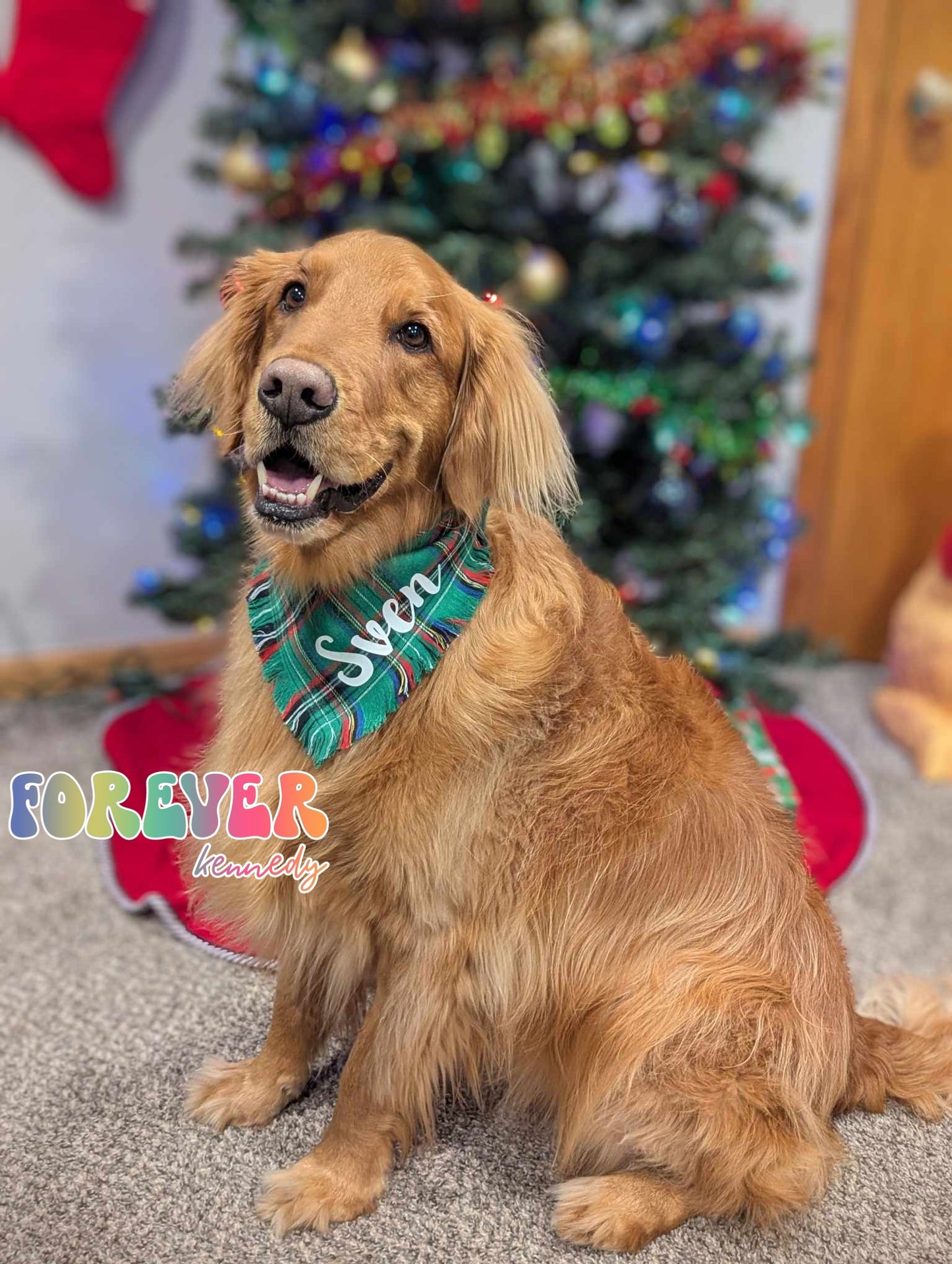 (MTO) Pet Holiday Bandana