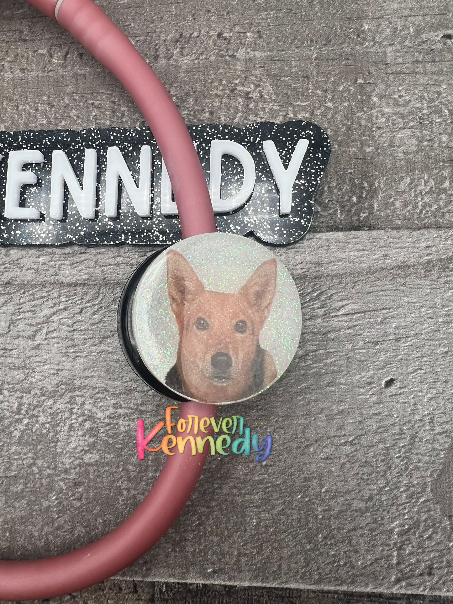 (MTO) Badge Reel OR Stethoscope Tag: Custom Pet Photo