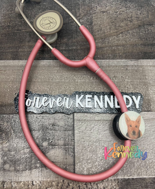 (MTO) Badge Reel OR Stethoscope Tag: Custom Pet Photo